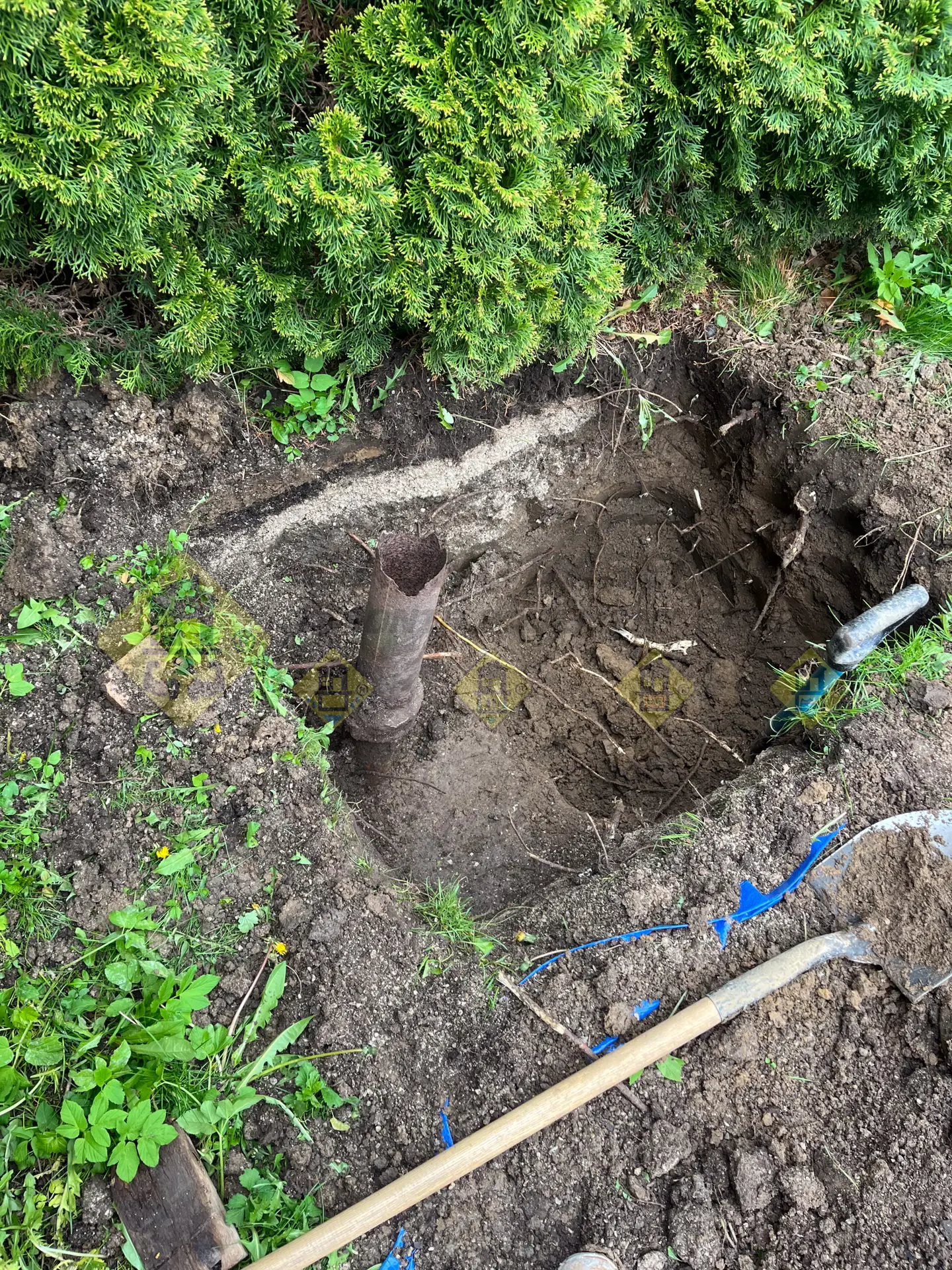 An excavated rusted cast-iron breather and old underground trap exposed in a trench, ready to be replaced with modern PVC pipes and cleanouts in Leaside, Toronto.